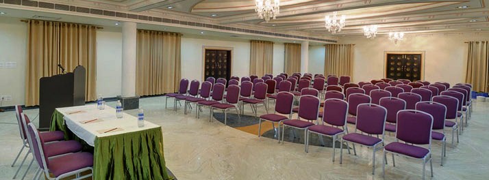 302/The Pride Amber Vilas Resort & Spa - Jaipur 06.jpg